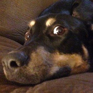 Meet your Posher, Cara